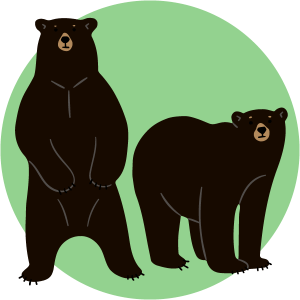 icon with a pair of black bears