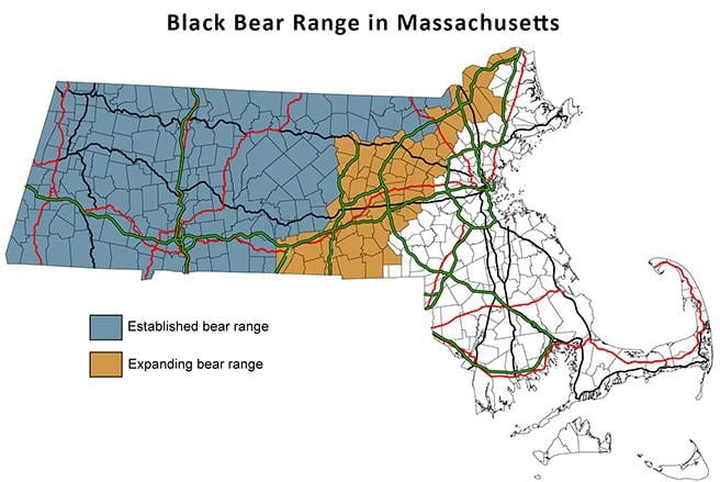 Map of Massachusetts showing established and expanding bear ranges
